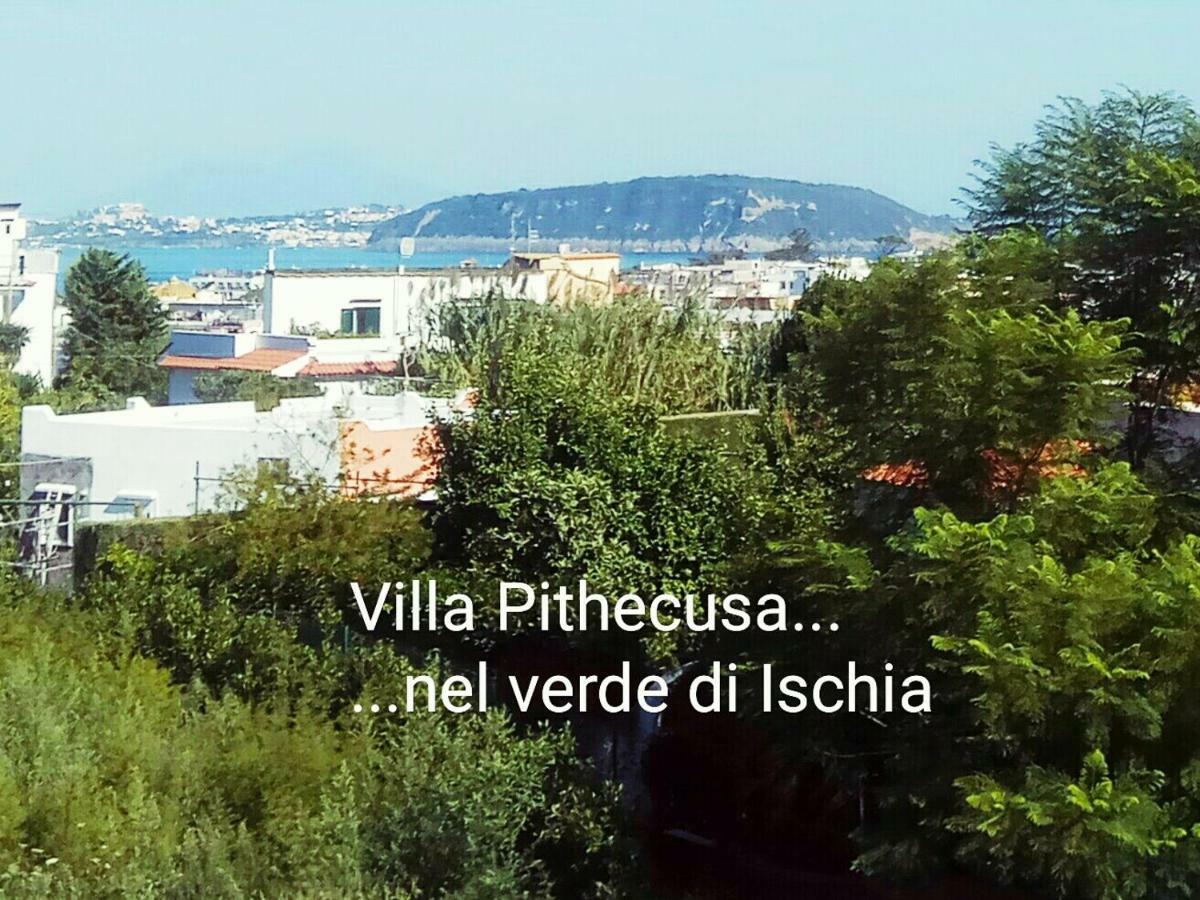 Villa Pithecusa 伊斯基亚 外观 照片